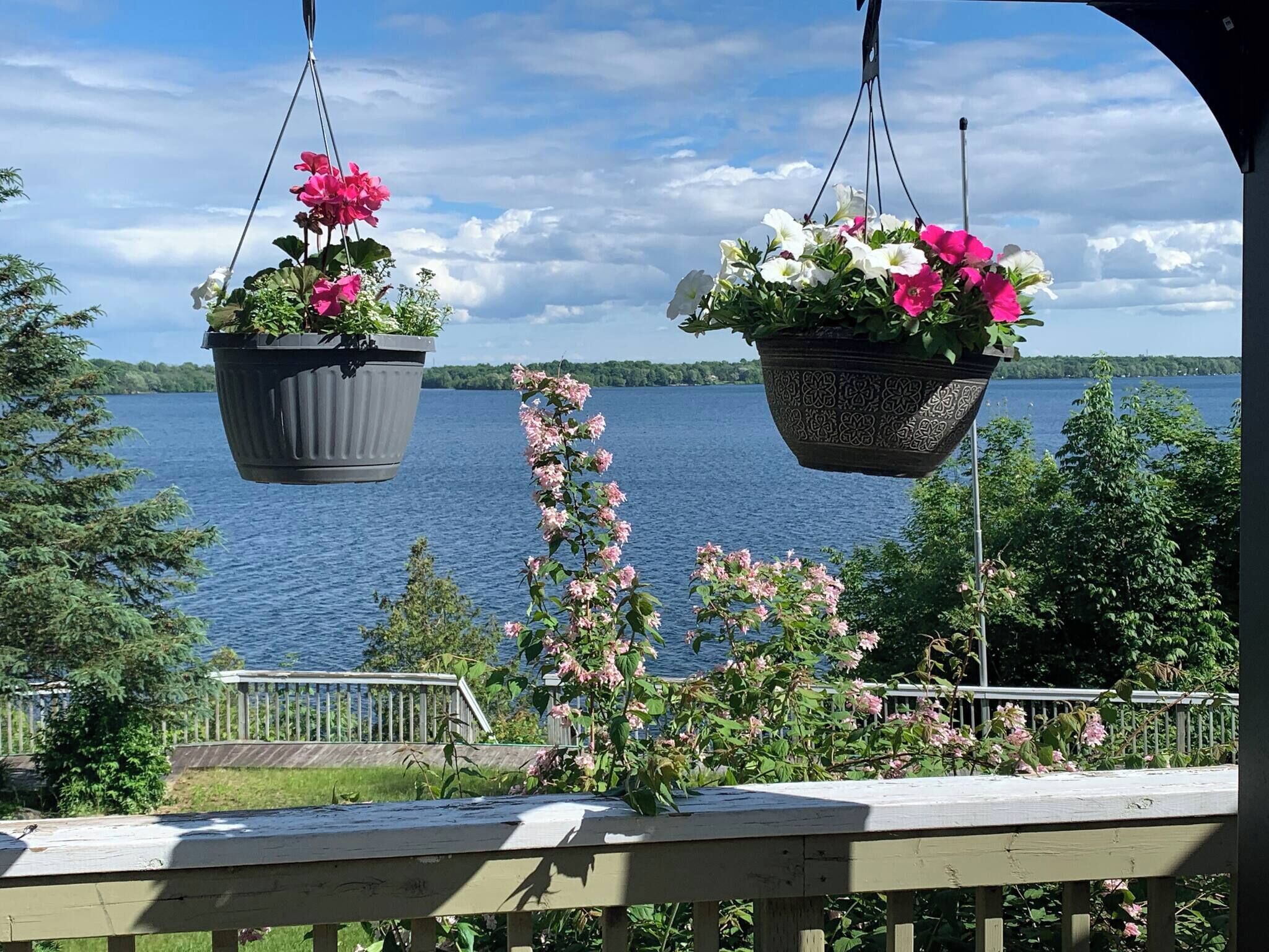 Room, 2 Bedrooms, Private Pool, Garden View | Property grounds