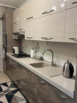 Fridge, microwave, oven, stovetop - Apartment located Mestre center, good connection to Venice&Airport (Venezia)