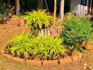 Dreibettzimmer, Gartenblick | Ausblick vom Zimmer