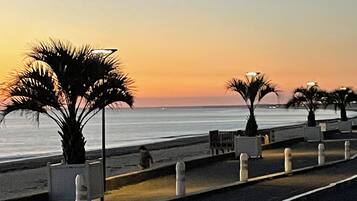 A coastal promenade with palm trees, benches, and a view of the sea.