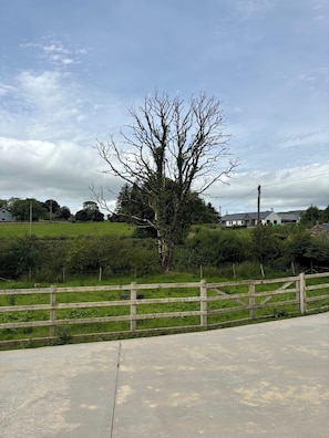A rural landscape with a wooden fence, a large tree, and houses in the background. - Spacious Private Country House - king beds - extensive parking (Omagh)