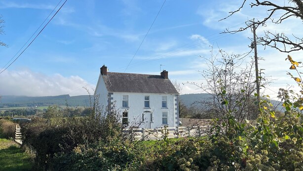 Une maison blanche avec un toit à pignon, entourée d’une végétation luxuriante et sous un ciel bleu clair.