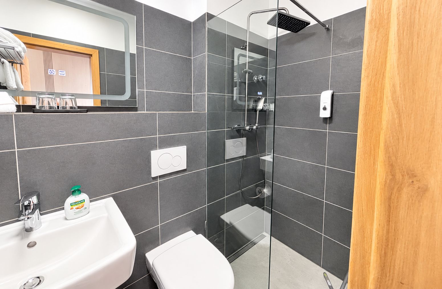A modern bathroom with a glass shower enclosure, a white sink, and a toilet.