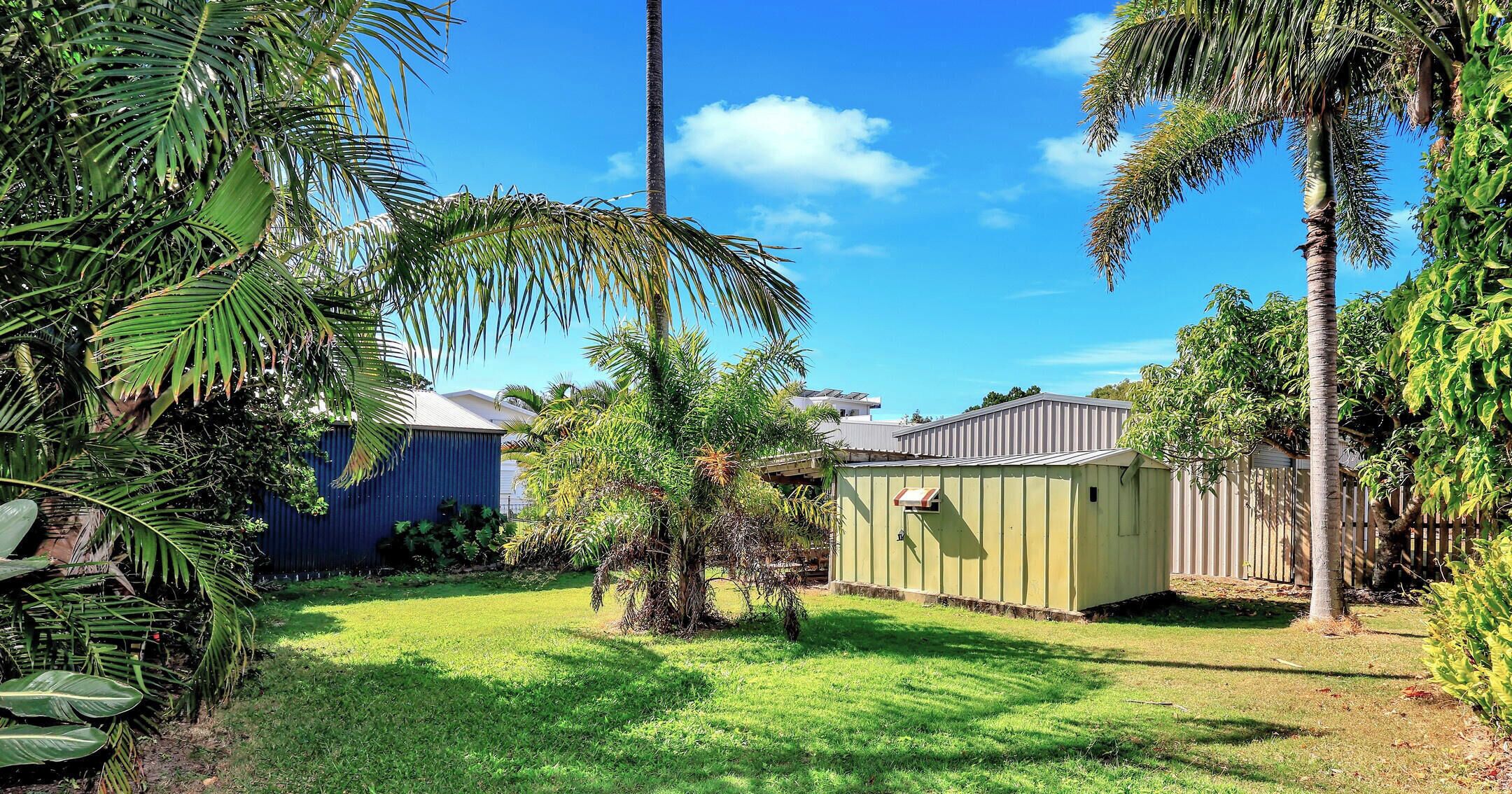 A backyard with a small shed, a palm tree, and a house with a metal roof.