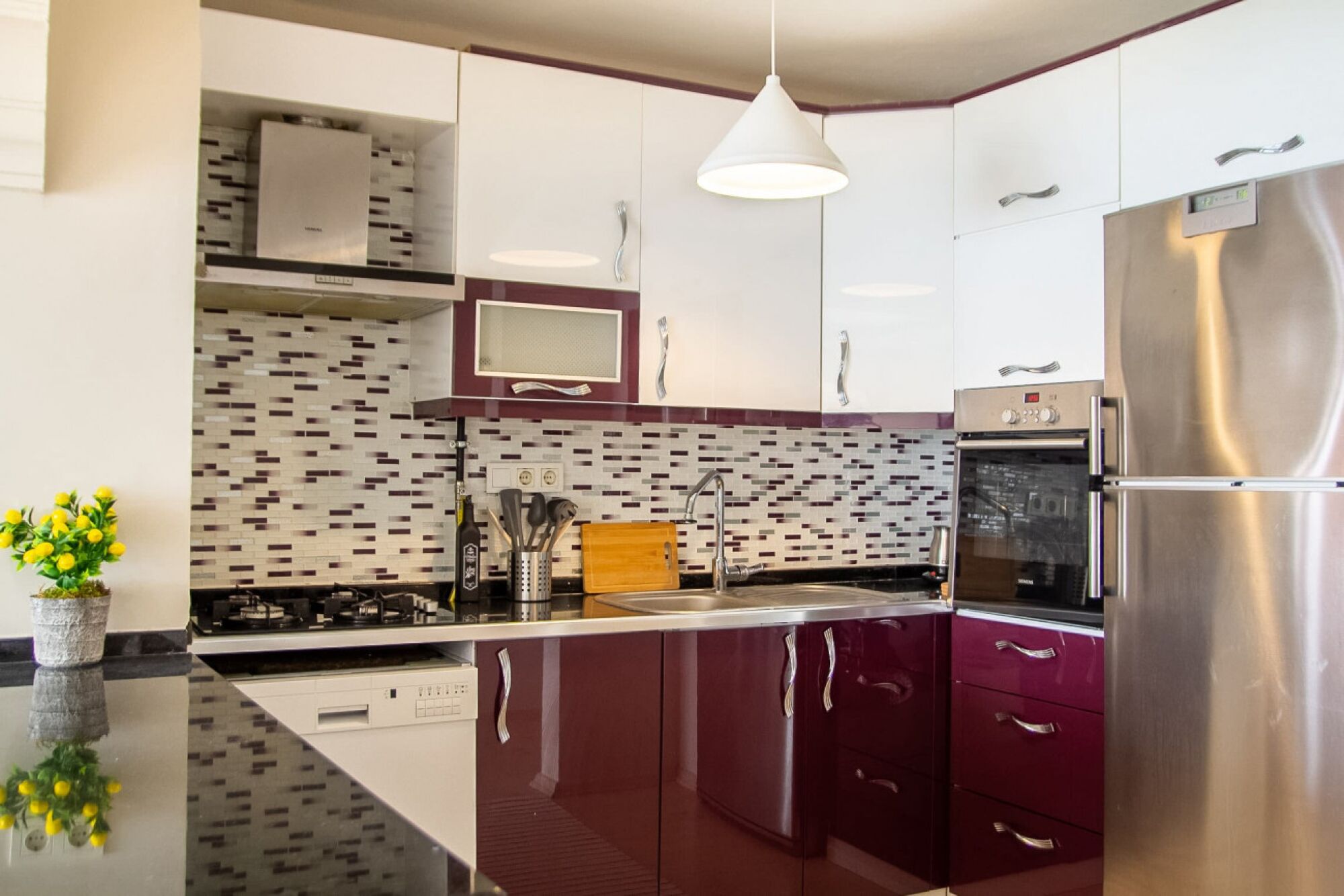 Fridge, oven, stovetop, dishwasher