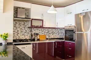 Fridge, oven, stovetop, dishwasher