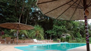 Una piscina con borde de baldosas, rodeada de sillas de descanso y sombrillas, ubicada en un exuberante jardín con árboles y un muro de ladrillo.