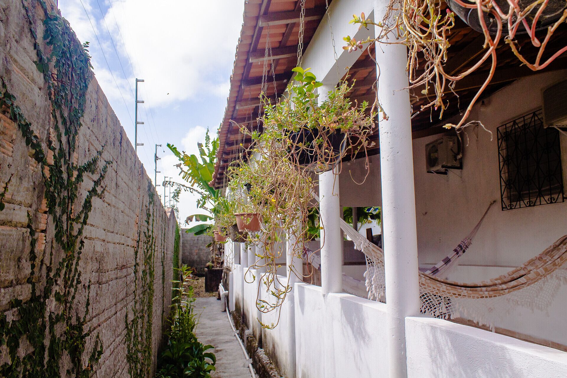 Área da propriedade