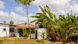 A two-story house with a tiled roof, surrounded by dry grass and various plants, including banana trees.