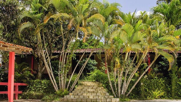 Un área de piscina con un sendero de piedra, palmeras y una estructura roja.