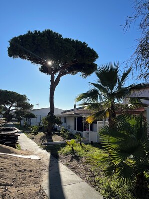 Property grounds - Large 4 Bedroom House on idyllic Armona Island (Moncarapacho)