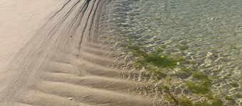 Large 4 Bedroom House on idyllic Armona Island