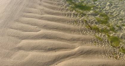 Large 4 Bedroom House on idyllic Armona Island