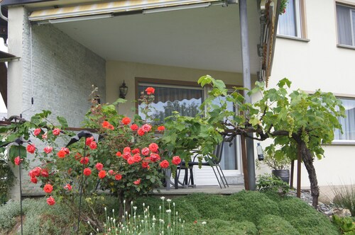 Vacation apartment Beate in Höchst on Lake Constance