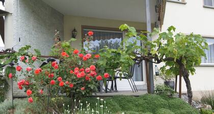 Vacation apartment Beate in Höchst on Lake Constance