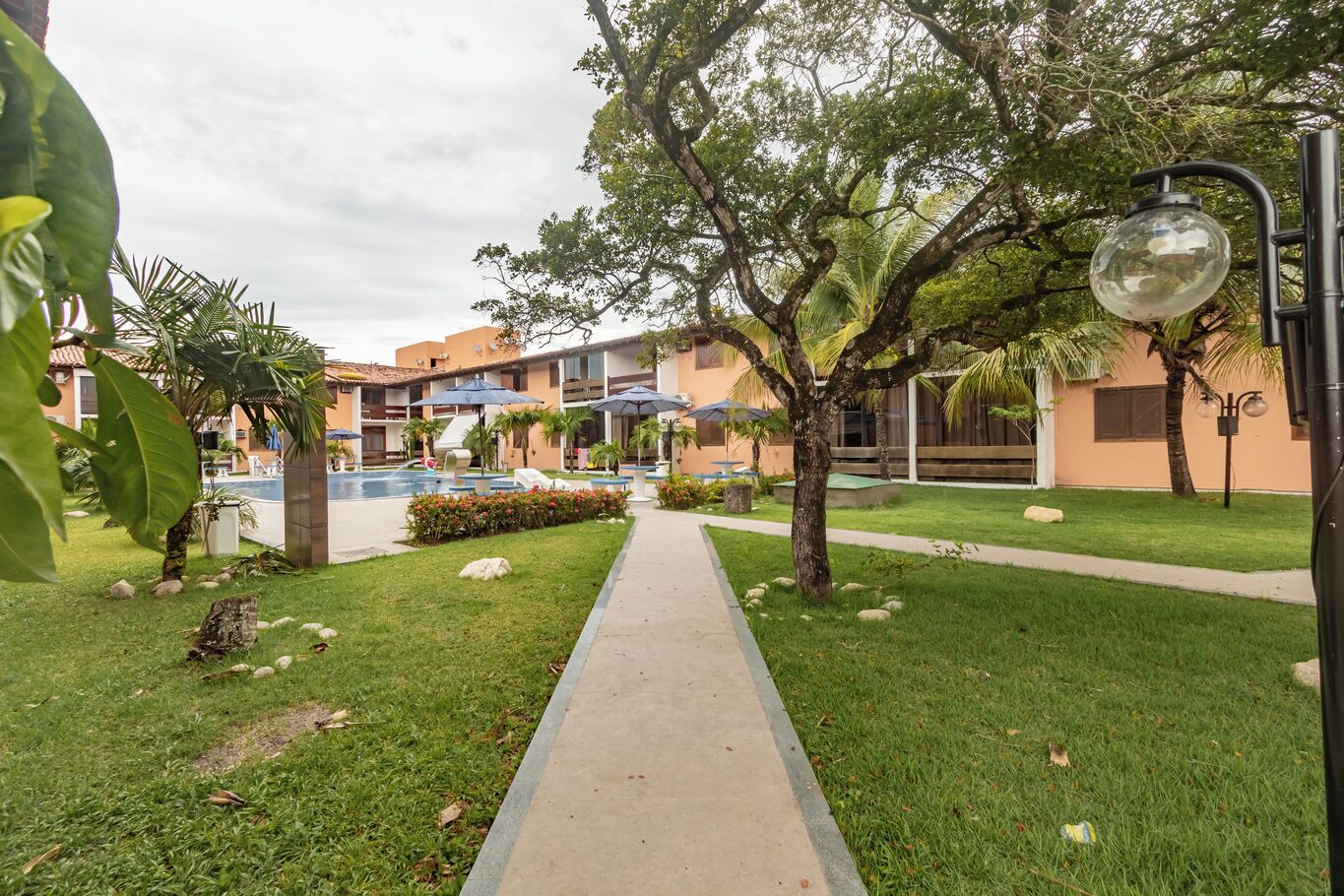 Uma trilha leva a uma área de piscina com espreguiçadeiras e guarda-sóis, tudo cercado por vegetação e palmeiras.