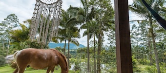 Chalé romântico em Rio do Sul com vista do lago