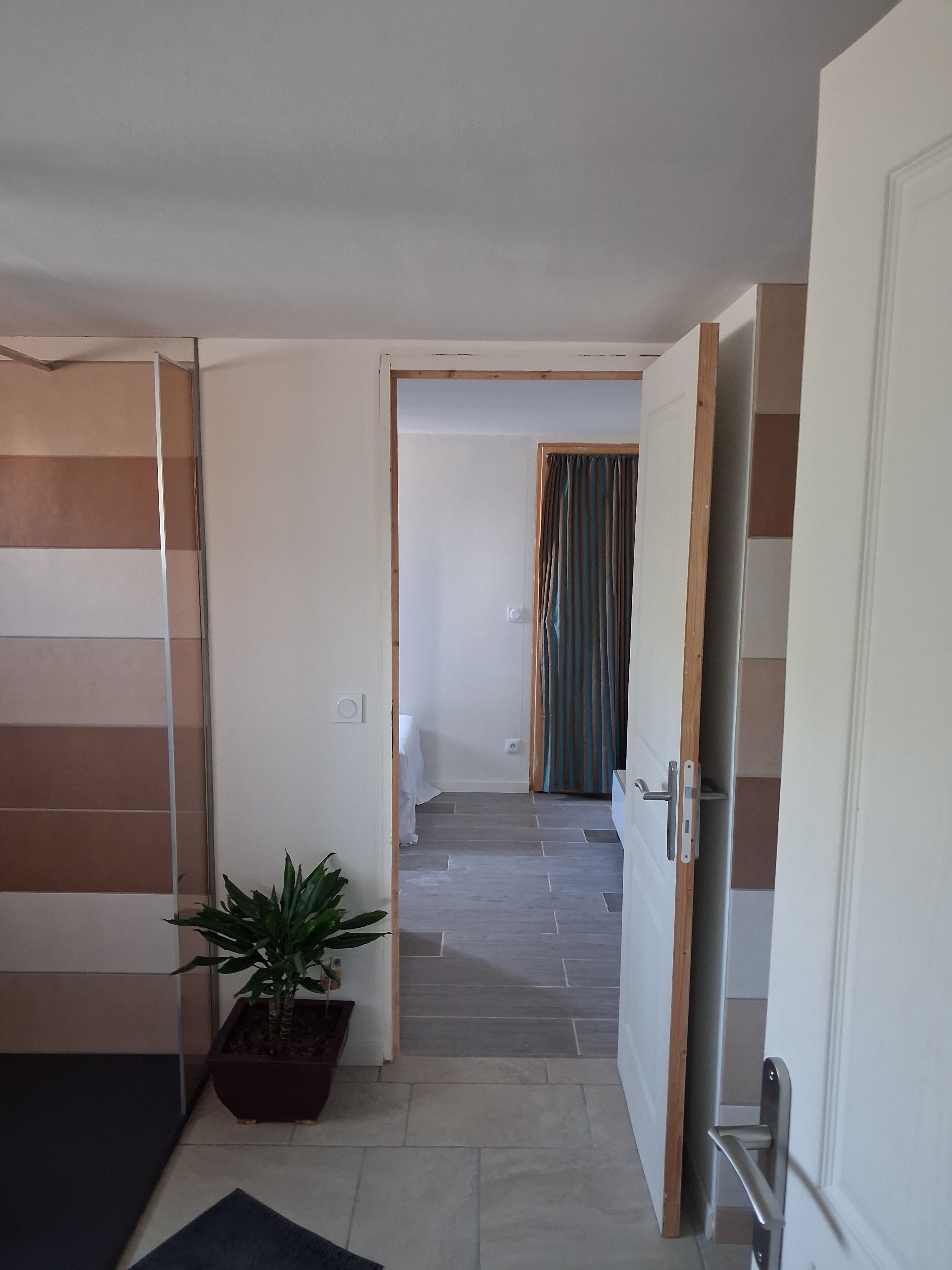 Een hal met een potplant, een schuifdeur en zicht op een andere kamer met een gordijn.