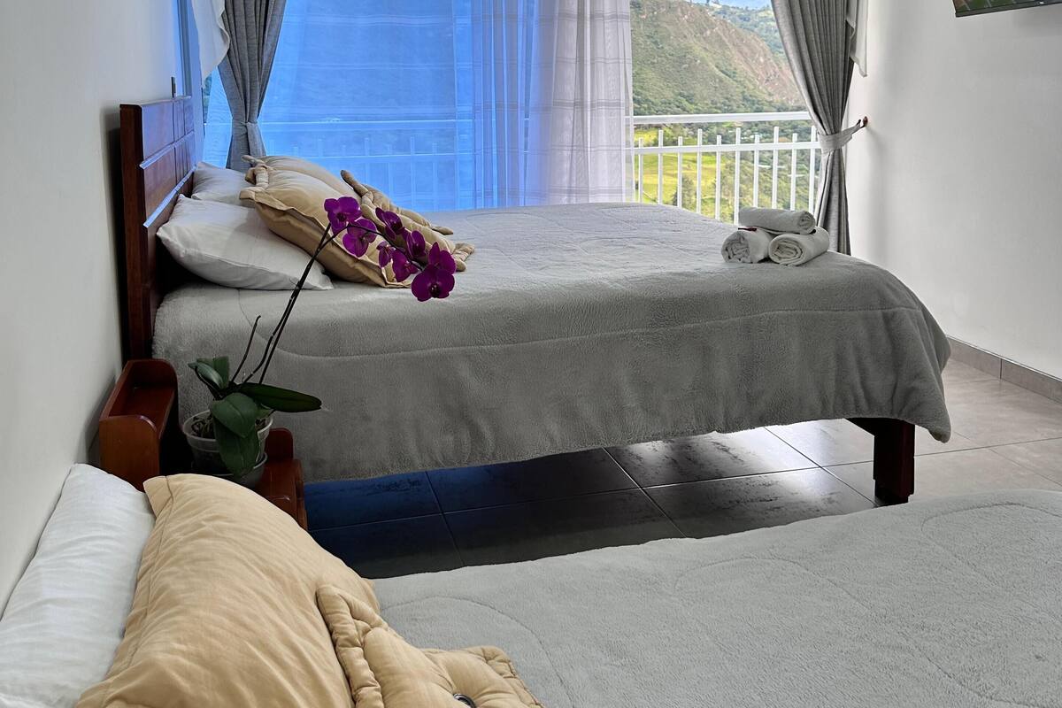 Een slaapkamer met twee bedden, een groot raam met gordijnen, een potplant en een televisie aan de muur.