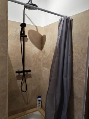 Shower, hair dryer, soap, toilet paper