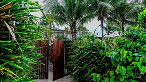 Un sendero arenoso que conduce a un portón de madera rodeado de exuberante vegetación tropical.