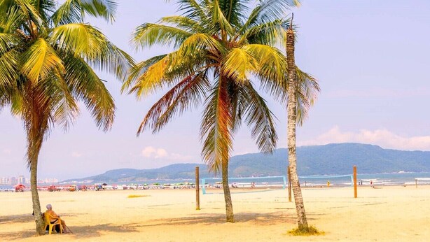 A beach with palm trees, a person sitting on a chair, and a volleyball net. - Apartamento Moderno com Wi-Fi em frente a praia (Santos)
