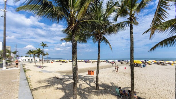 Ein Strand mit Palmen, sandigem Ufer und Strandstühlen.