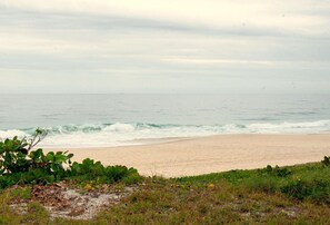 Ein Strand mit Wellen, Sand und grüner Vegetation.