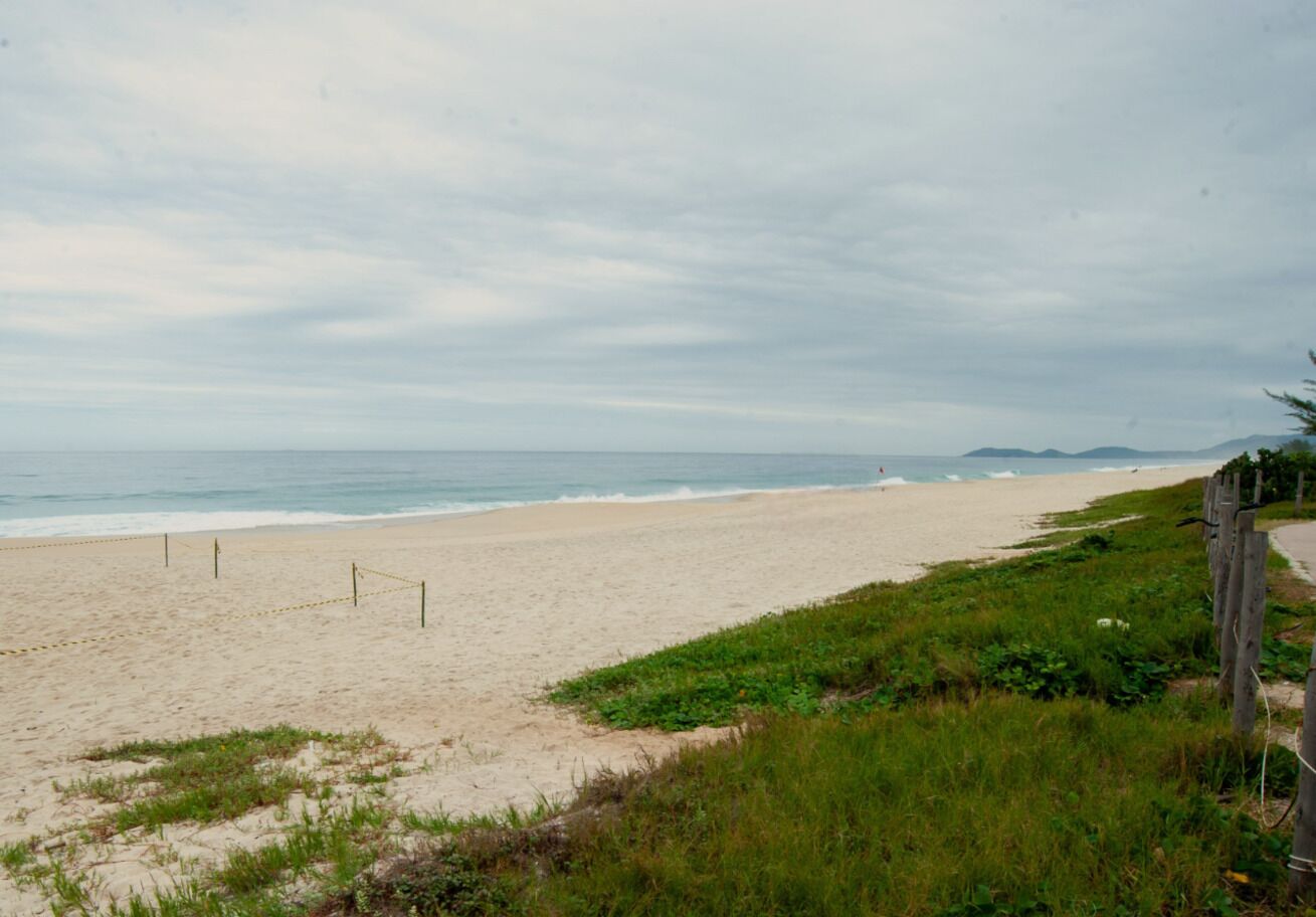 Ein Strand mit einer Holzumzäunung und einer Rasenfläche.