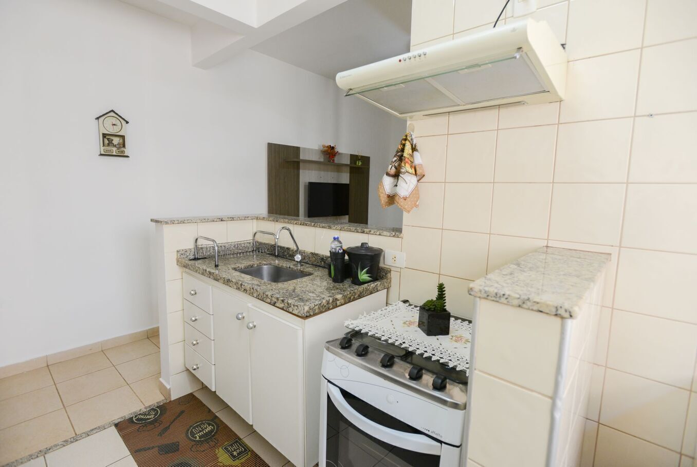 Een compacte keuken met witte kastjes, een granieten aanrechtblad, een roestvrijstalen spoelbak, een kookplaat en een kleine potplant.