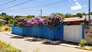 Un edifici blau amb una porta de garatge blanca, envoltat d'arbres florits.