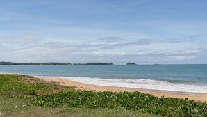 Una playa con arena y vegetación verde al frente.