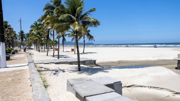 Una playa con palmeras y cielo despejado.