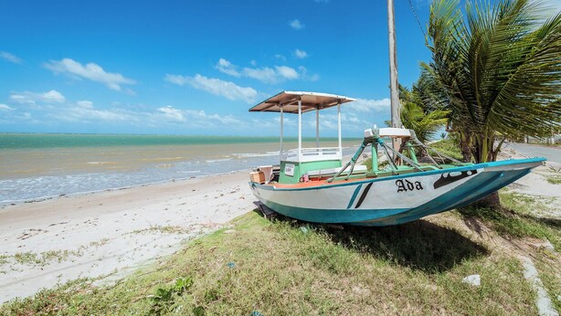 Un bote estacionado en la playa, con vista despejada al océano y una palmera cerca.