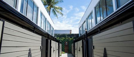 Un pasillo con paredes de madera y ventanas amplias, que conduce a una zona central con una palmera y vegetación.