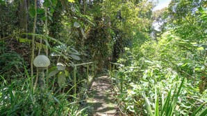 A narrow stone pathway surrounded by dense tropical vegetation. - Casa com Piscina, Churrasqueira, Jogos e Lareira (Petropolis)