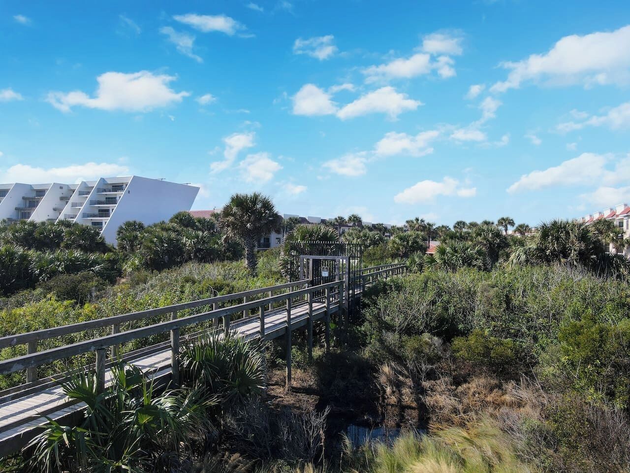 Een voetgangersbrug boven een natuurgebied, met gebouwen op de achtergrond.