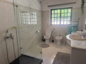 Een douche, een bidet, handdoeken