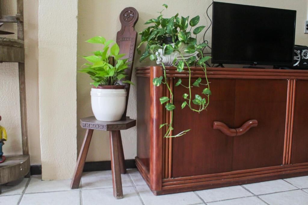 Un meuble en bois sur lequel est posée une télévision, une plante en pot sur une petite table et une porte en bois.