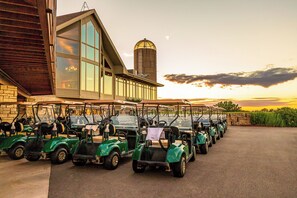 Property grounds - Retro Nest octagon home in woods, pool, jukebox, phonebooth (Galena)