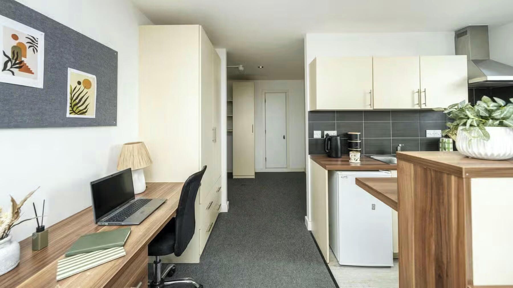 A compact kitchen with a refrigerator, coffee maker, and a potted plant.