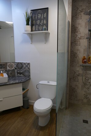 Regadera, secadora de cabello, toallas, jabón 