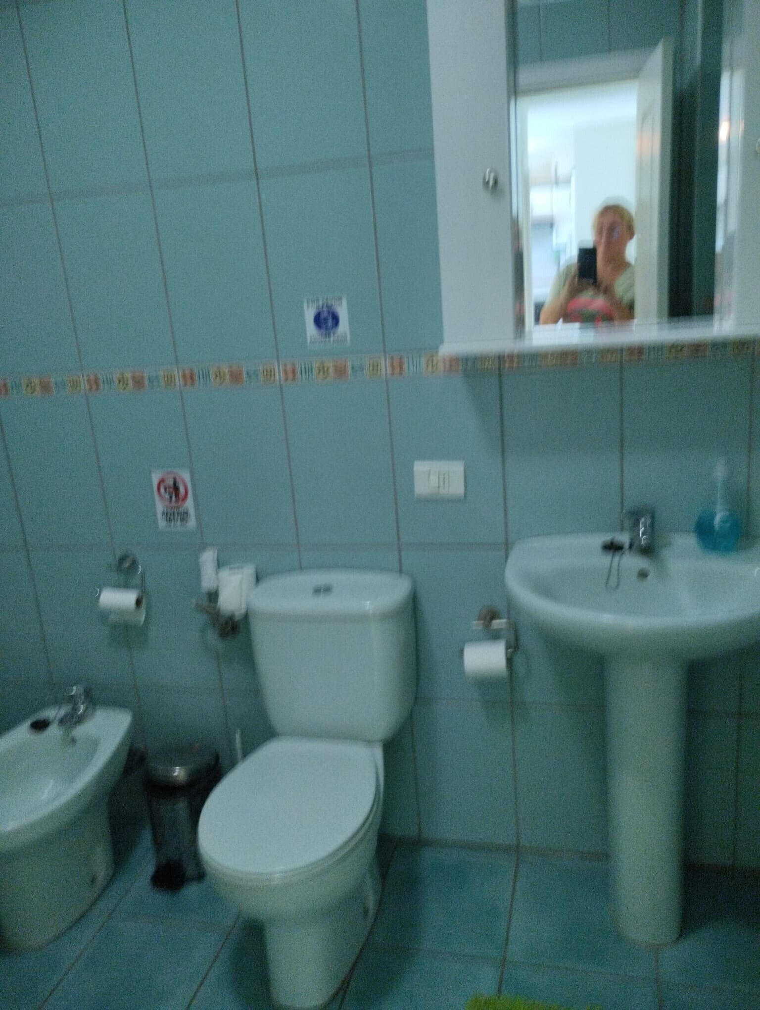 Une salle de bain équipée de toilettes, d’un bidet, d’un lavabo et d’un miroir.