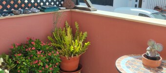 Apartment 'Aloe' with Shared Terrace and Wi-Fi