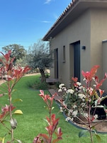 A residential building with a well-maintained lawn and a tree.