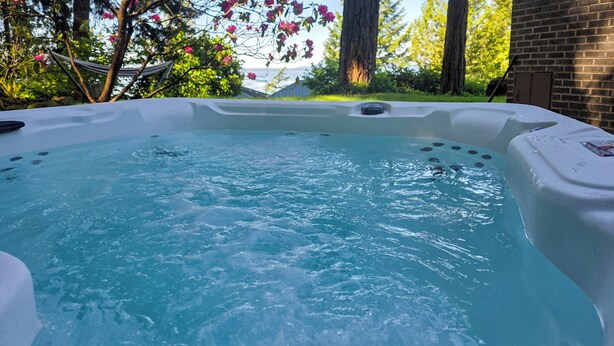A hot tub with a view of a hammock and trees in the background. - Walk to The Oyster Bar: Chuckanut Dr Retreat! (Bow)