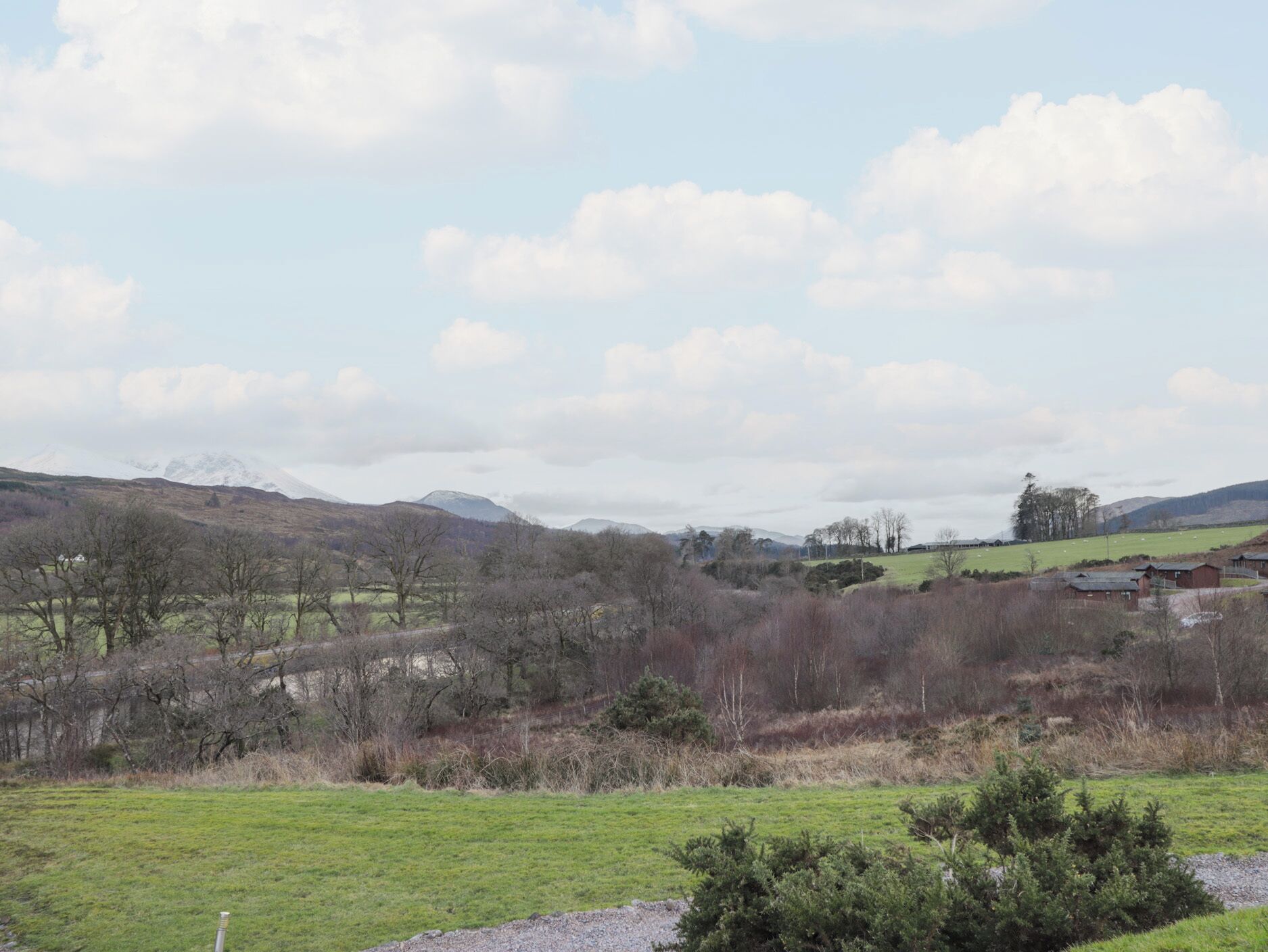 A rural landscape with a grassy field, scattered trees, and a few buildings in the distance.