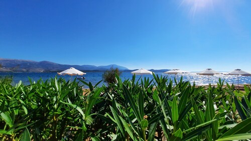 Alekos Beach Houses-Alexandros