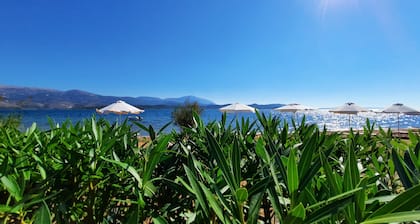 Alekos Beach Houses-Alexandros