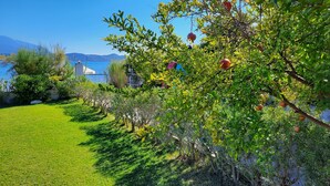 A garden with a clear view of the sea and mountains in the background.